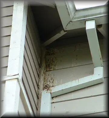8d4ec0a6b9f0866e283c4c1cf0011a7e A close up of the corner of a house