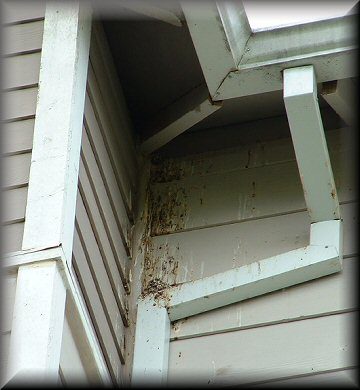 A close up of the corner of a house